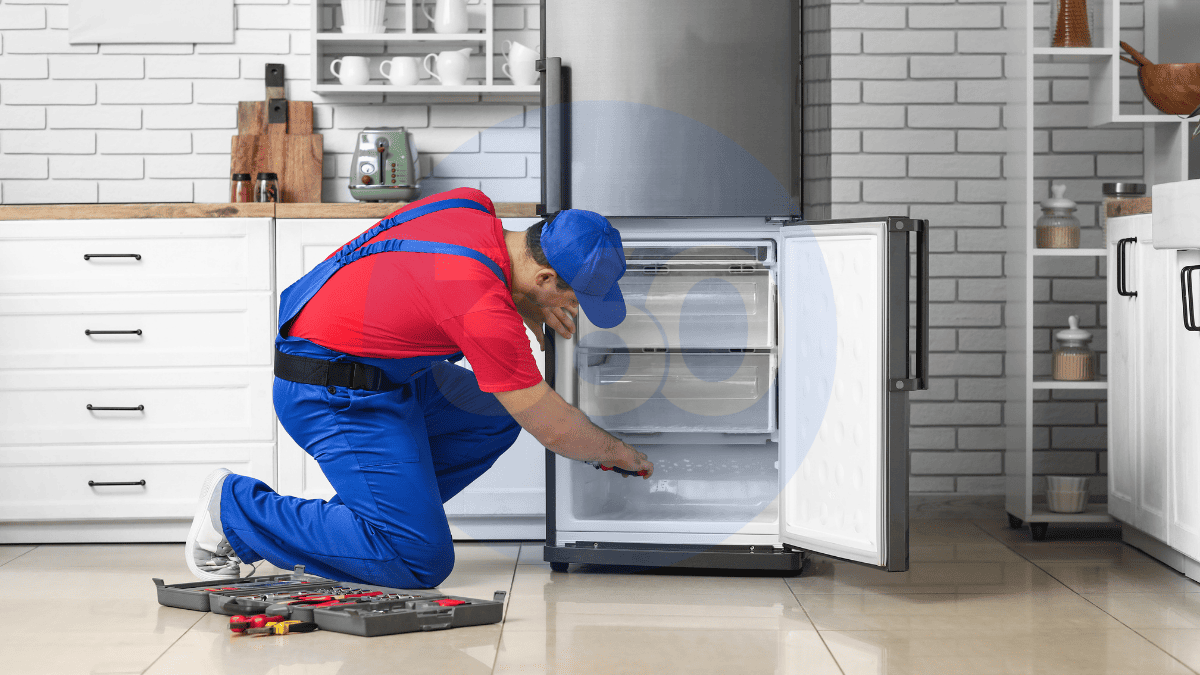 Kastamonu Vestel Buzdolabı Servisi